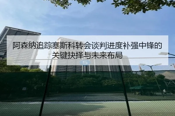 阿森纳追踪塞斯科转会谈判进度补强中锋的关键抉择与未来布局
